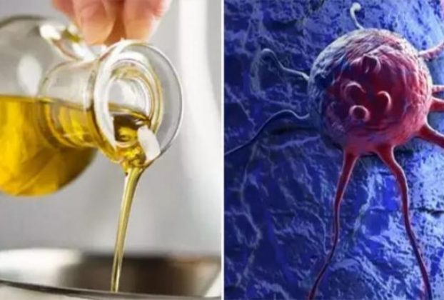 soybean oil creates cancer