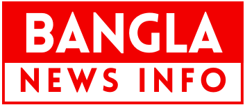 Bangla News Info Logo